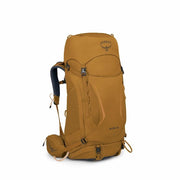 Barley Brown
